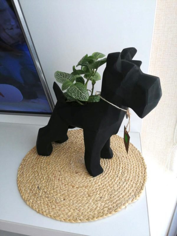 Suculenta + Maceta Pet Friendly Schnauzer | 33cm - Imagen 6