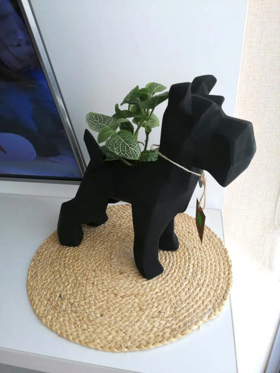 Suculenta + Maceta Pet Friendly Schnauzer | 33cm - Imagen 6