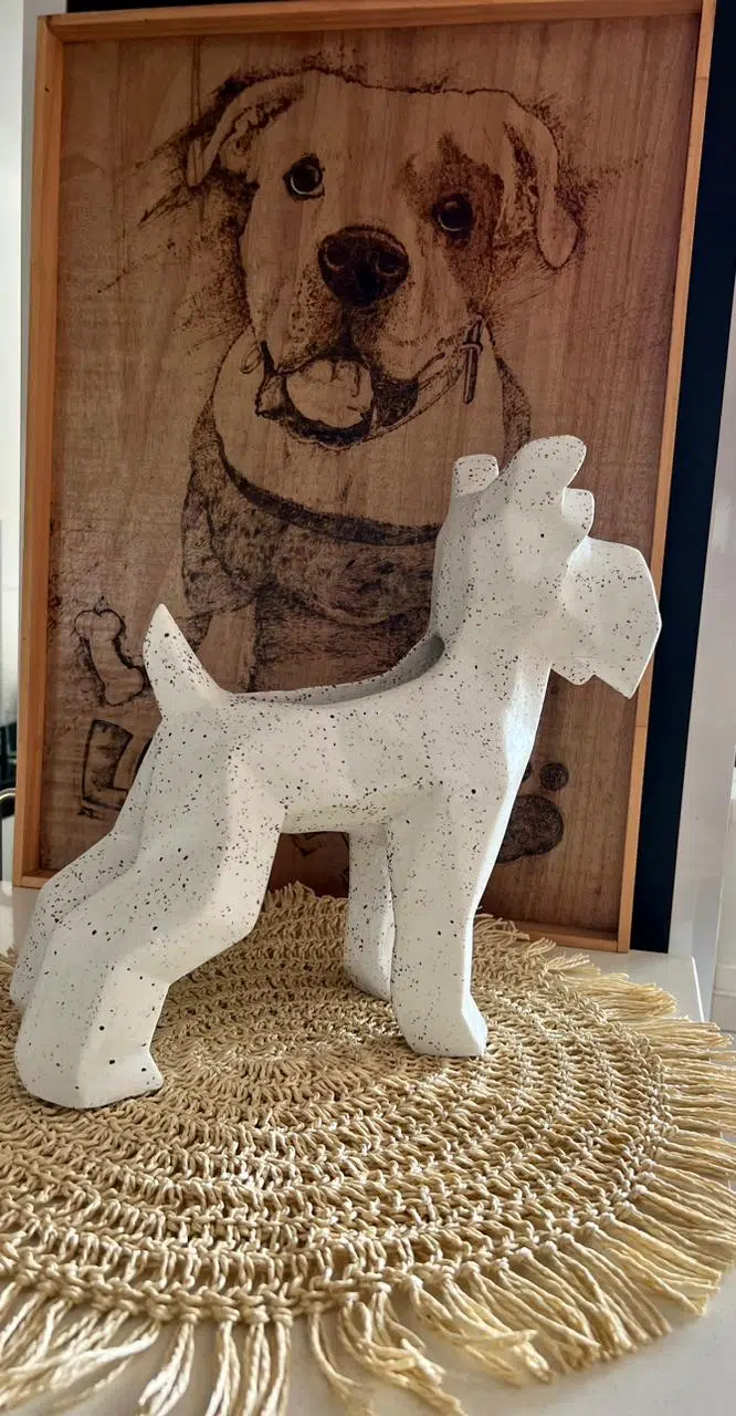 Suculenta + Maceta Pet Friendly Schnauzer | 33cm - Imagen 4