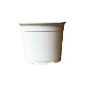 Maceta Básica Blanca #17