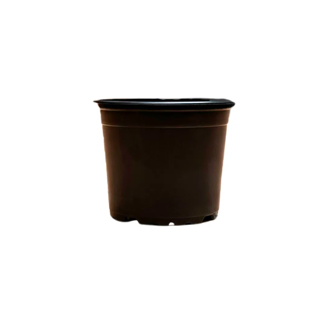 Maceta Básica Negra #13