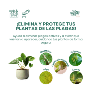 Alternative view of Pack Elimina Plagas Pocas Plantas