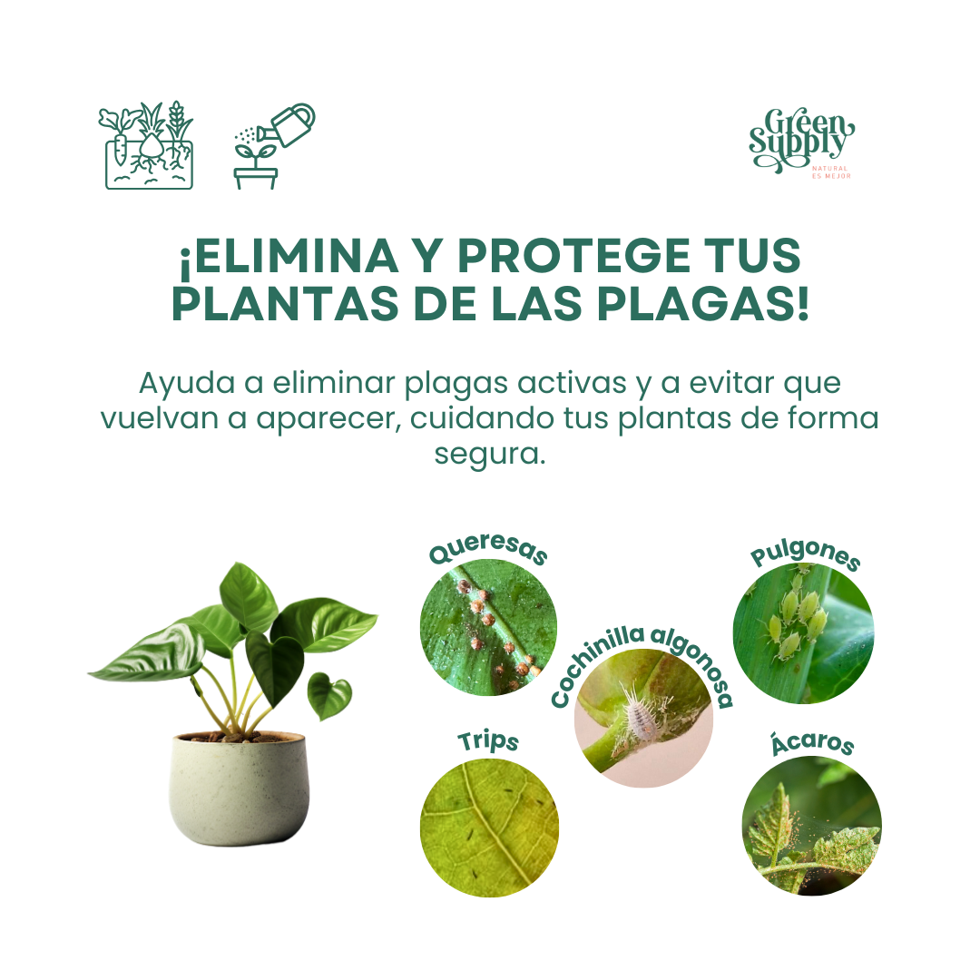 Pack Elimina Plagas Pocas Plantas - Imagen 2