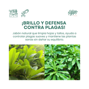 Alternative view of Jabón Potásico | 1LT