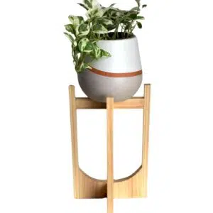 Juego Gorges (Planta Pothus + maceta arcilla pera + parante) | 65cm