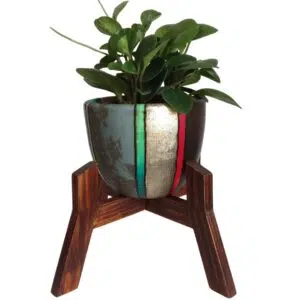 Juego Rose (Planta Peperonia + maceta arcilla + parante) | 40cm