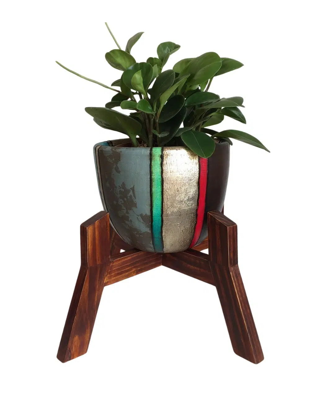 Juego Rose (Planta Peperonia + maceta arcilla + parante) | 40cm