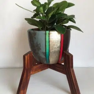 Alternative view of Juego Rose (Planta Peperonia + maceta arcilla + parante) | 40cm