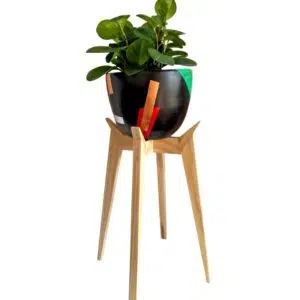 Juego Dordoña 2 (Planta PEPERONIA + maceta arcilla + parante) | 70cm.