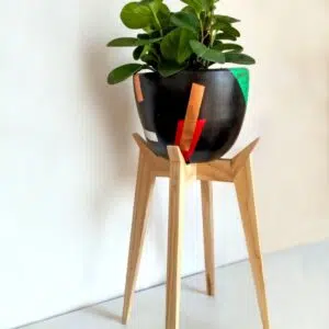 Alternative view of Juego Dordoña 2 (Planta PEPERONIA + maceta arcilla + parante) | 70cm.