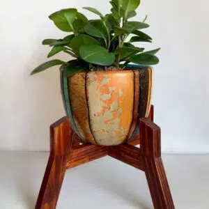 Alternative view of Juego Rose 2 (Planta PEPERONIA + maceta arcilla + parante) | 45cm.