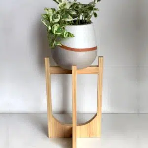 Alternative view of Juego Gorges (Planta Pothus + maceta arcilla pera + parante) | 65cm