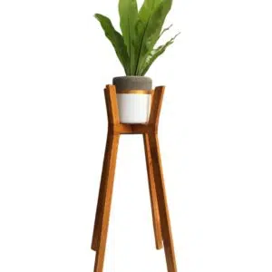 Juego Roma(Planta HELECHO ALEMAN + maceta arcilla + parante) | 1.05mts.