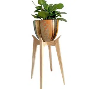 Juego Dordoña (Planta PEPERONIA + maceta arcilla + parante) | 70cm