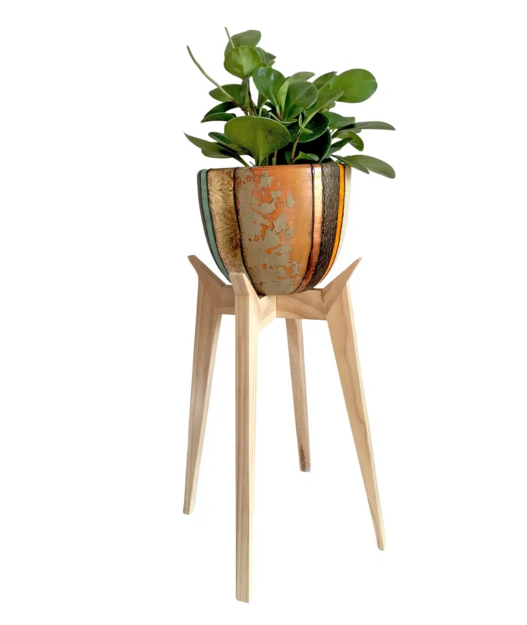 Juego Dordoña (Planta PEPERONIA + maceta arcilla + parante) | 70cm