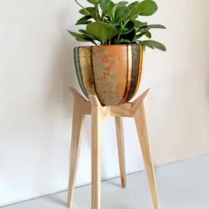 Alternative view of Juego Dordoña (Planta PEPERONIA + maceta arcilla + parante) | 70cm