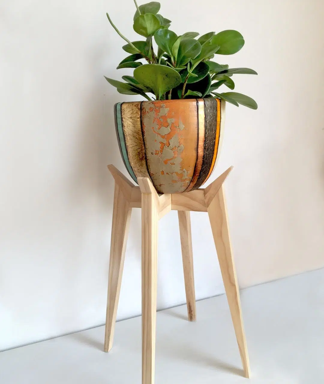 Juego Dordoña (Planta PEPERONIA + maceta arcilla + parante) | 70cm - Imagen 2
