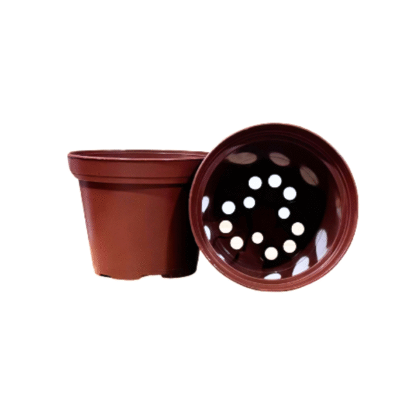 Maceta Clásica Terracota # 8