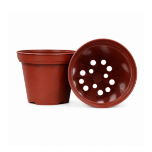 Maceta Clásica Terracota # 8