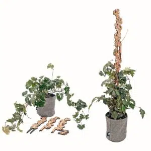Alternative view of Soporte Hoja Apilable-tutor/parante | 34-58cm