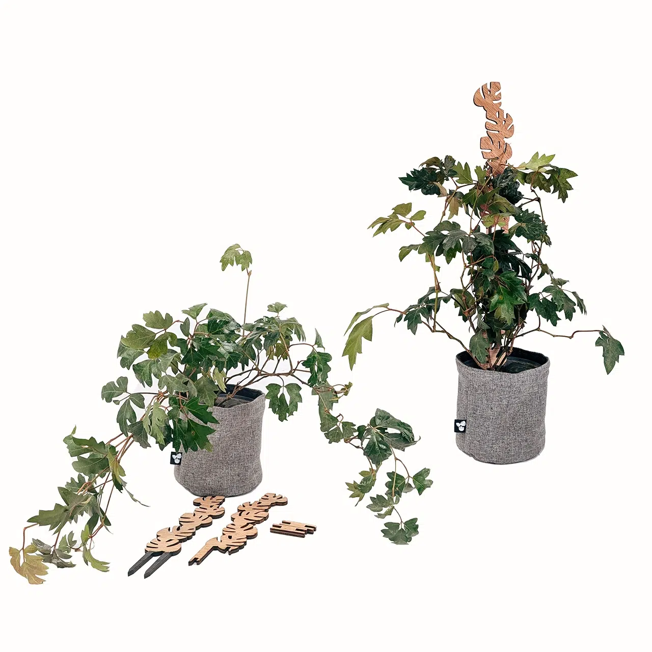 Soporte Hoja Apilable-tutor/parante | 34-58cm - Imagen 4