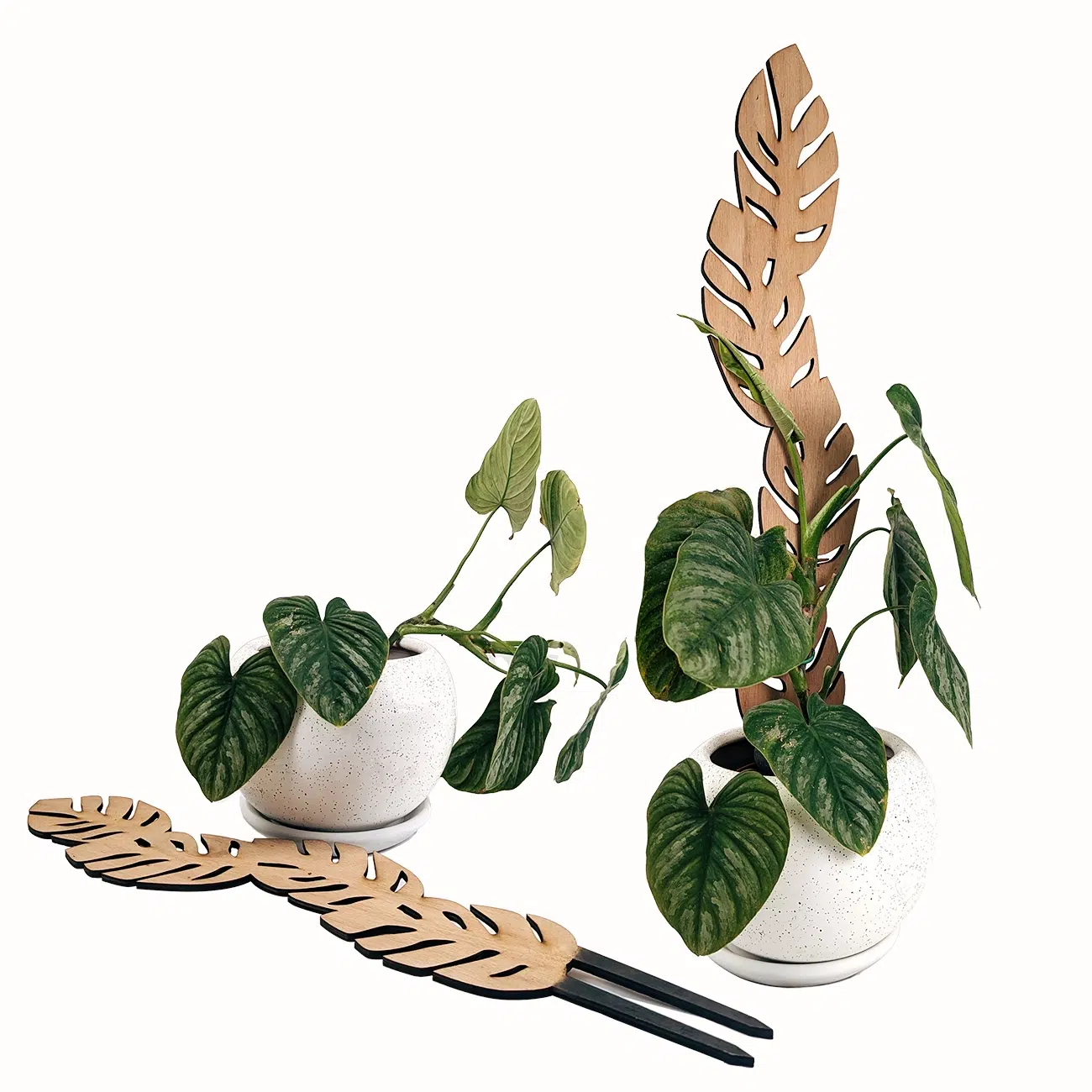 Soporte Hoja Grande-tutor/parante | 65cm