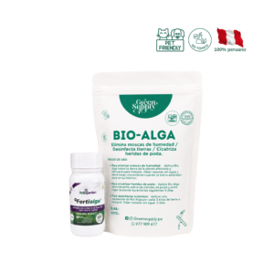 Pack Suculentas y Cactus