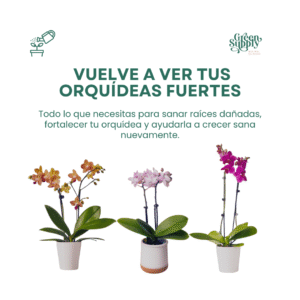 Alternative view of Pack Recupera tus Orquídeas
