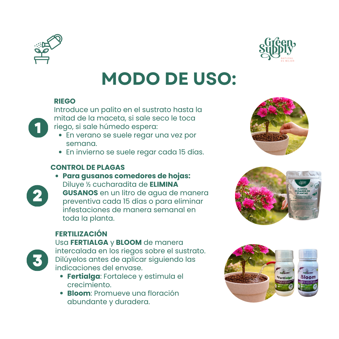 Pack Defensa Floral - Imagen 3