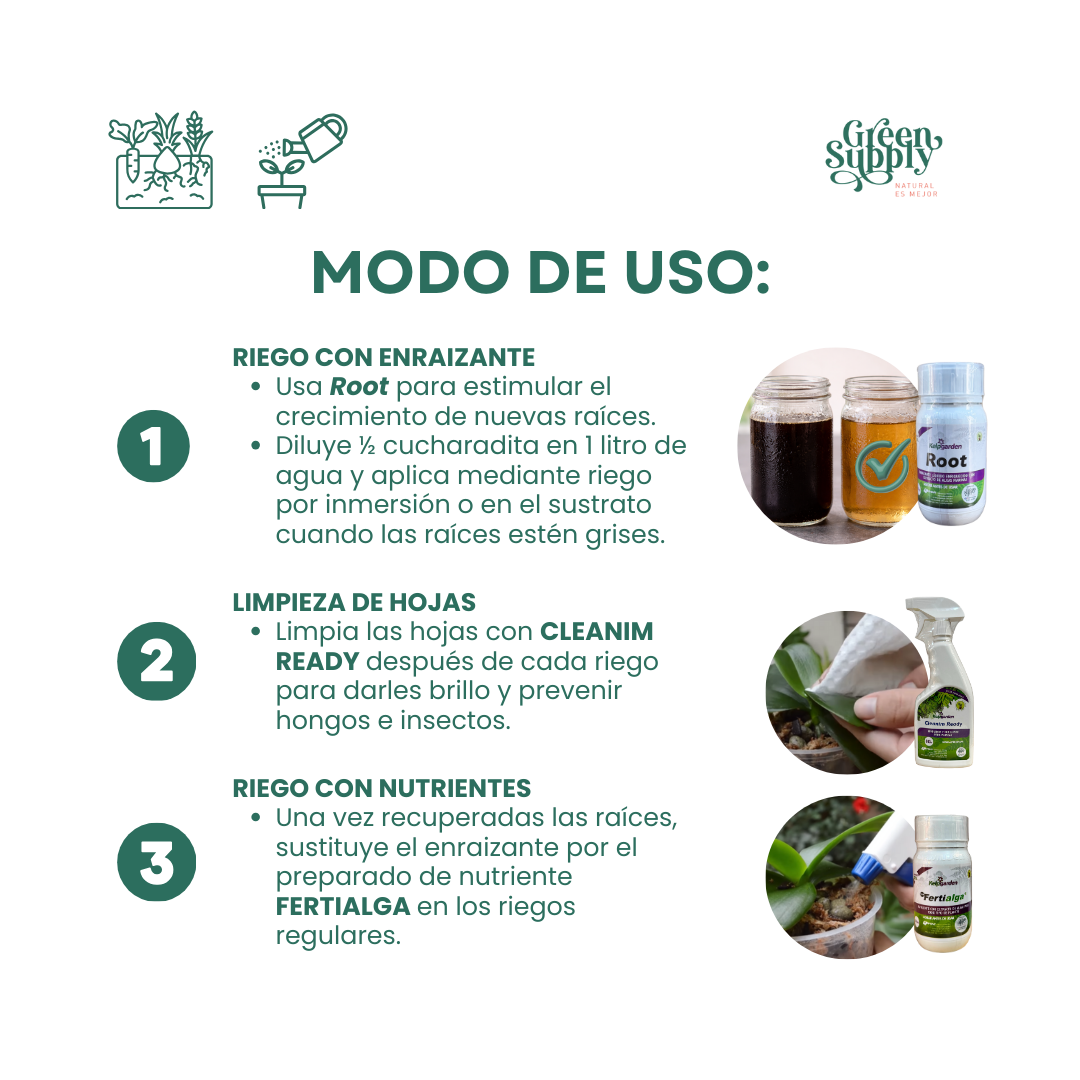 Pack Recupera tus Orquídeas - Imagen 3