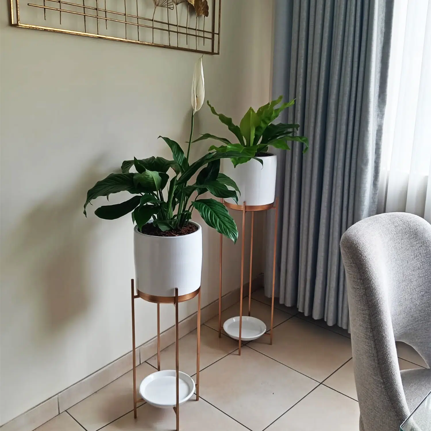 Combo 10: 2 Plantas Espatifilio y Helecho aleman + 2 Macetas + 2 Pedestales Dorado - Imagen 2