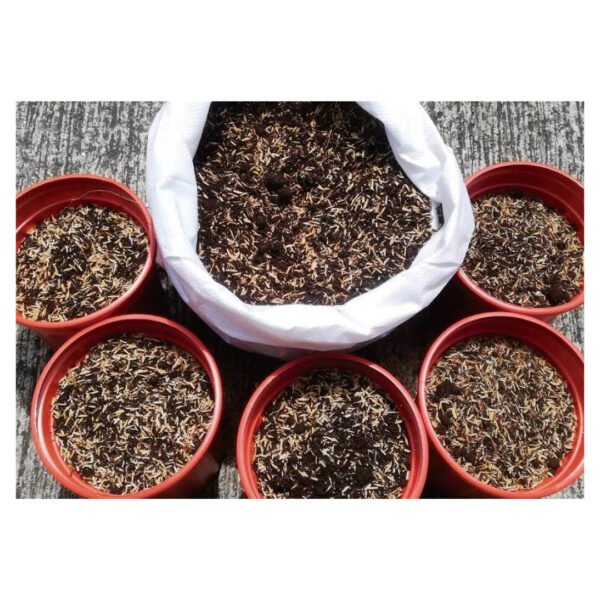 Cascara de arroz | 2 Kilos - Imagen 3