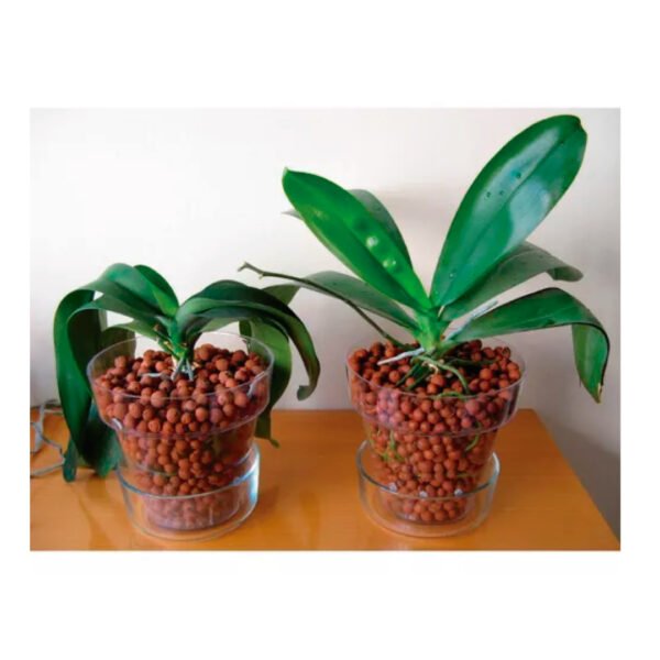 Lecca Euro Pebbles | 1 Kilo - Imagen 3