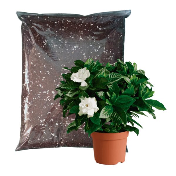Sustratos Gardenias 100% orgánico | 5 Kilos