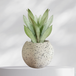 Maceta esfera de terrazo blanco + planta | 22 cm