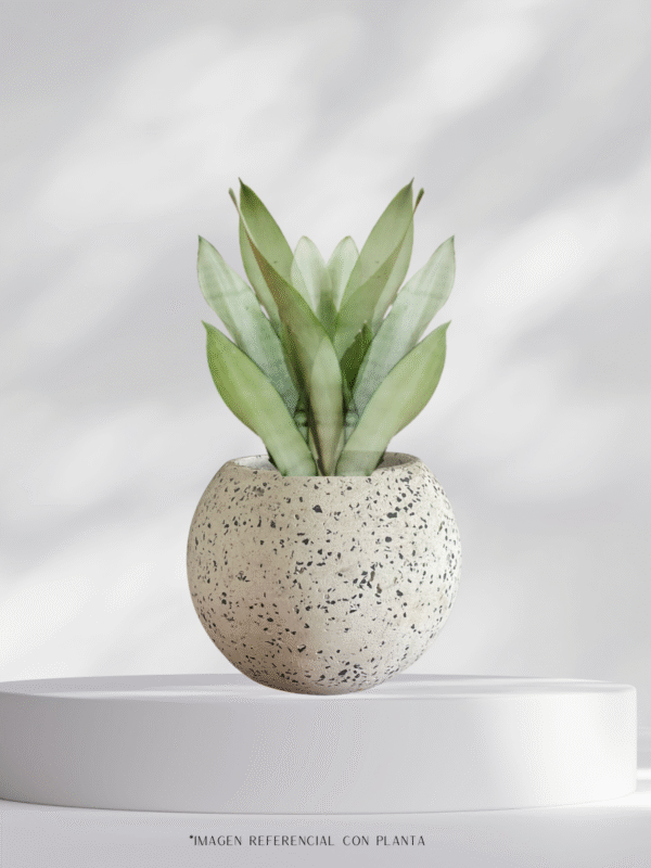 Maceta esfera de terrazo blanco + planta | 22 cm