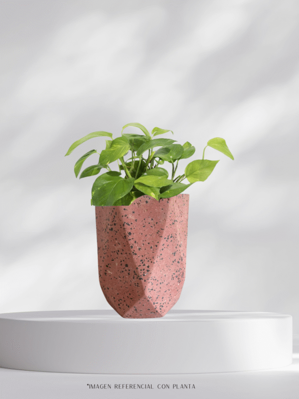 Maceta vaso geométrico de terrazo rosado + planta | 28 cm