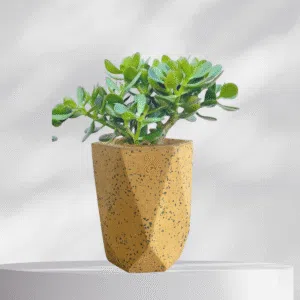 Maceta vaso geométrico de terrazo amarillo + planta | 28 cm