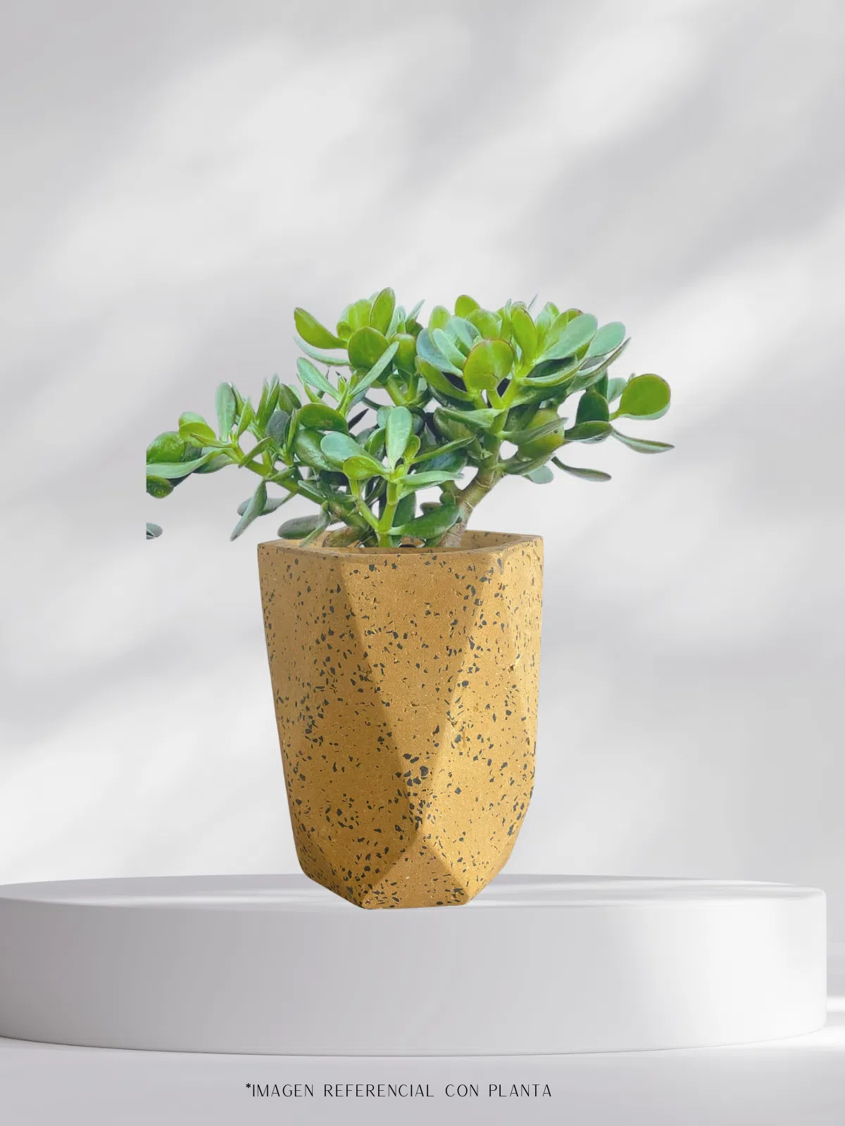 Maceta vaso geométrico de terrazo amarillo + planta | 28 cm