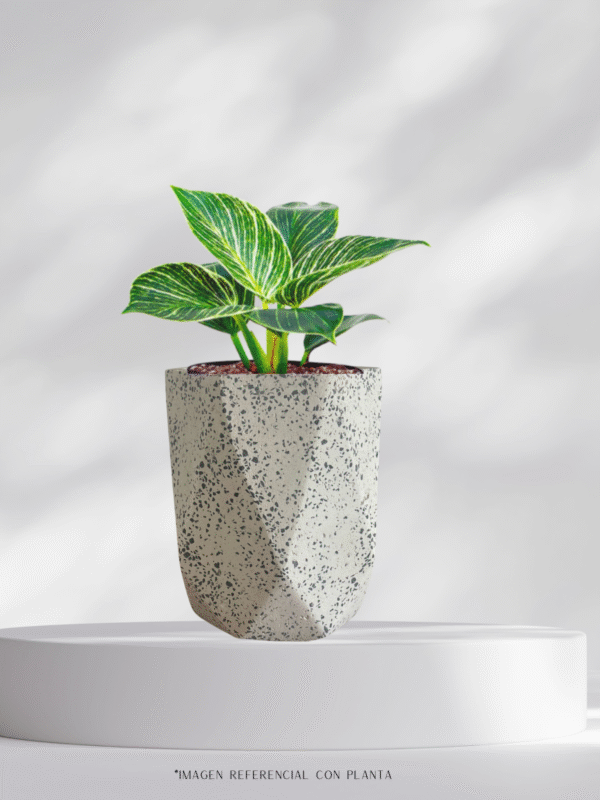 Maceta vaso geométrico de terrazo blanco + planta | 28 cm