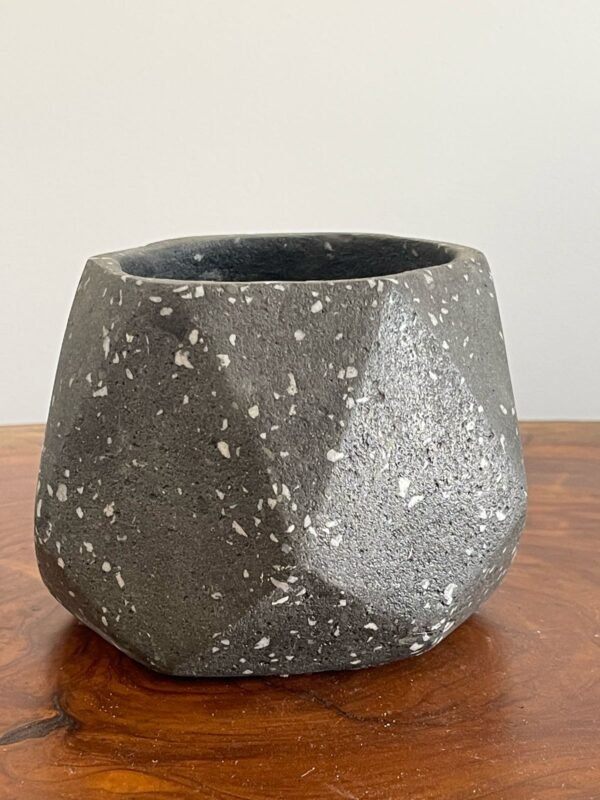Maceta base geométrica de terrazo negro + planta | 22 cm