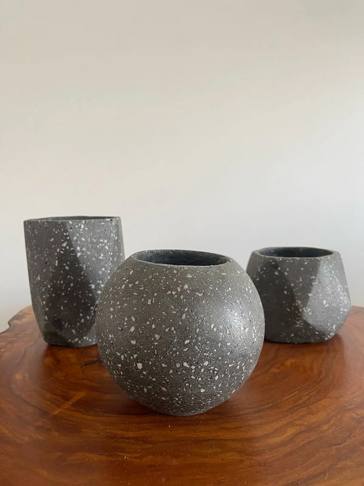 Maceta base geométrica de terrazo negro + planta | 22 cm - Imagen 3
