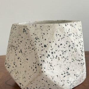 Maceta base geométrica de terrazo blanco + planta | 22 cm