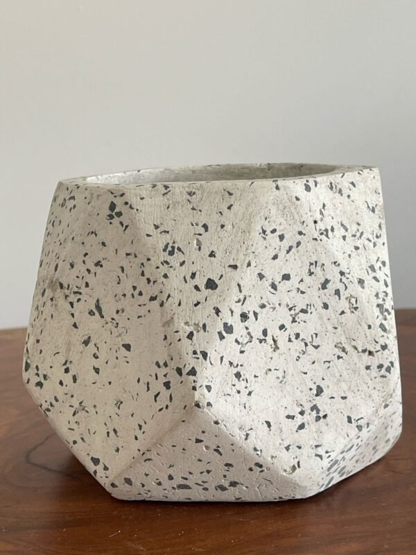 Maceta base geométrica de terrazo blanco + planta | 22 cm