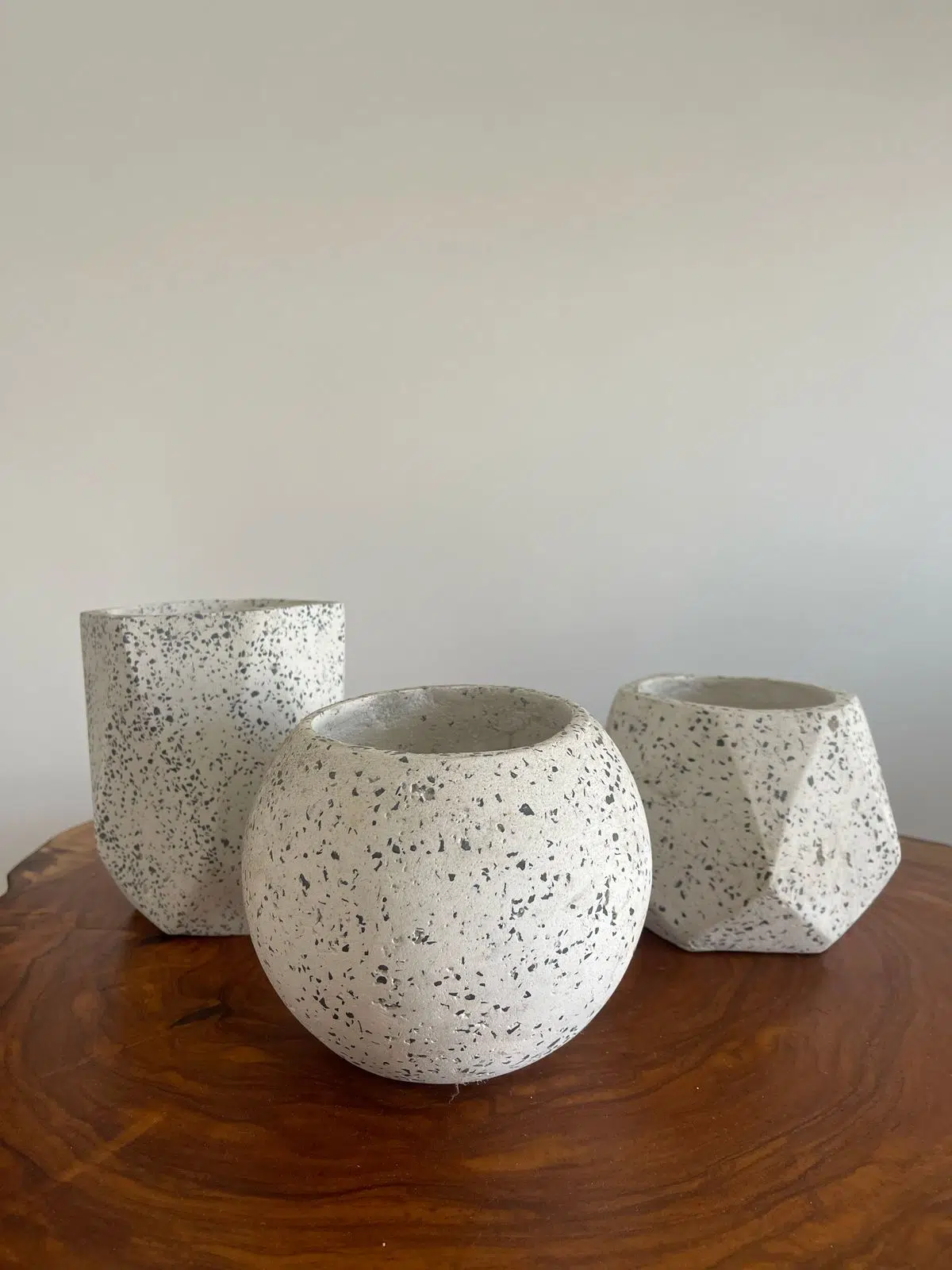 Maceta esfera de terrazo blanco + planta | 22 cm - Imagen 4