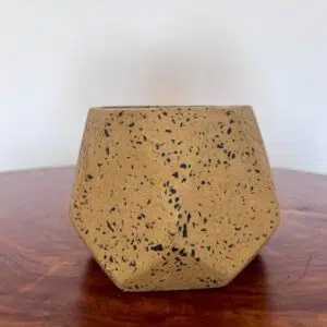 Maceta base geométrica de terrazo amarilla + planta | 22 cm