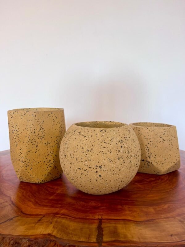 Maceta esfera de terrazo amarillo + planta | 22 cm - Imagen 2