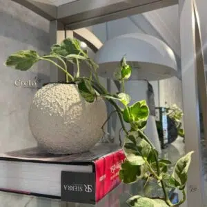 Alternative view of Maceta Esfera texturizada beige + planta | 22 cm
