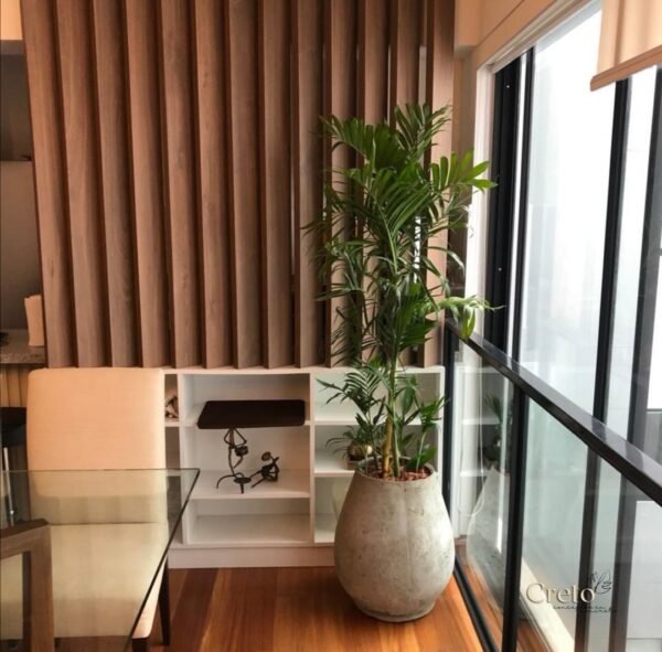 Maceta de concreto Gota + Planta Ficus lyrata | 2 m. - Imagen 4