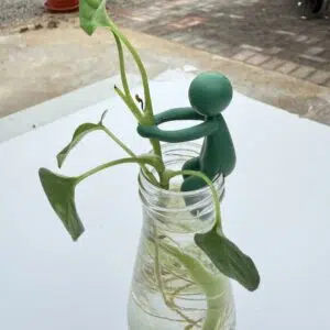 Alternative view of Soporte para propagación en forma de muñeco | Pack x 3und.